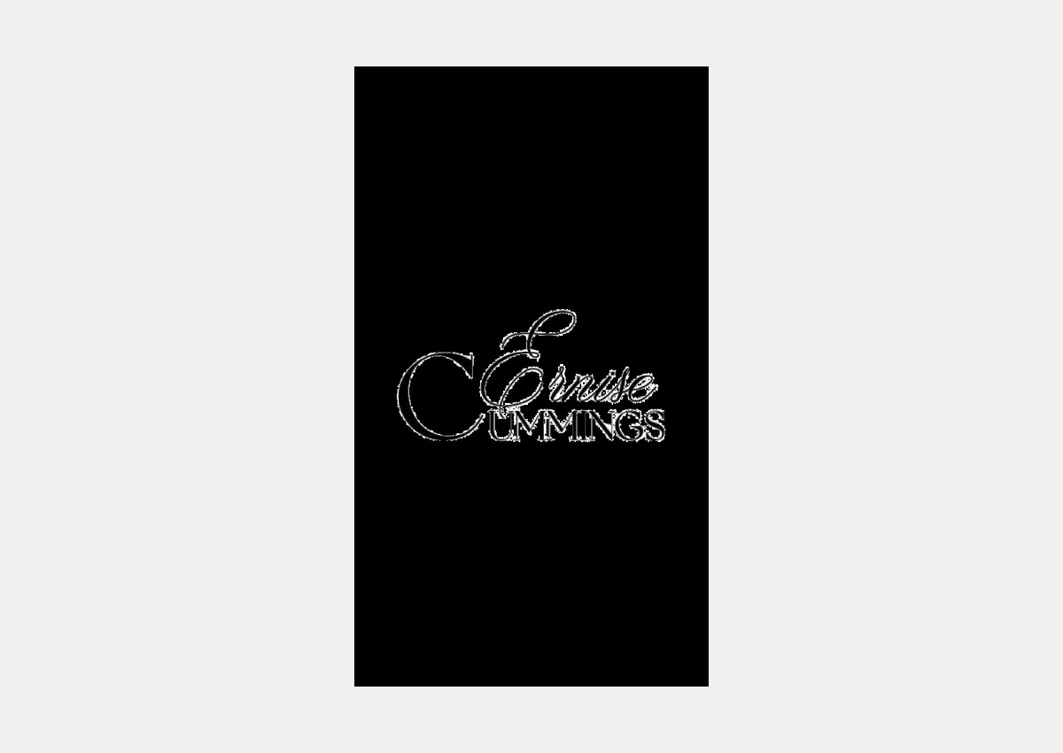 Brand identity work for Ernise